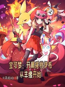 宝可梦：开局搭档伊布从丰缘开始宝可梦：开局搭档伊布从丰缘开始